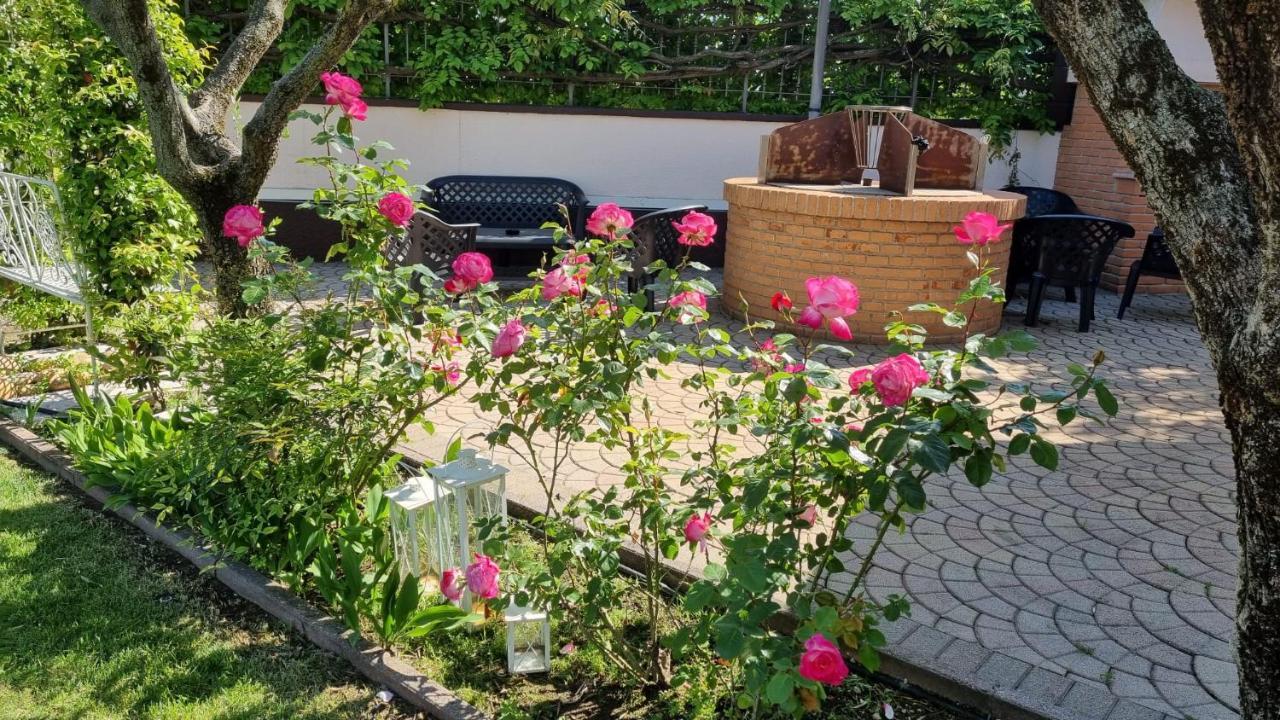 Fontana Oasis Apartments Castelnuovo del Garda Kültér fotó